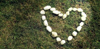 white stone heart grass